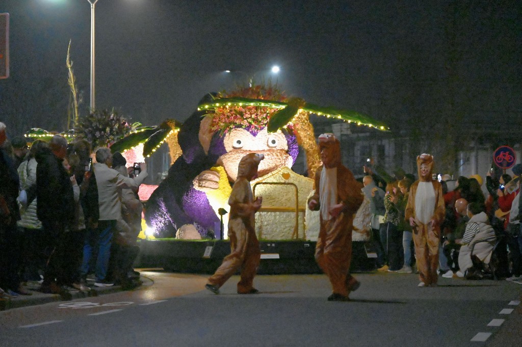 ../Images/Verlicht bloemencorso 2025 193.jpg